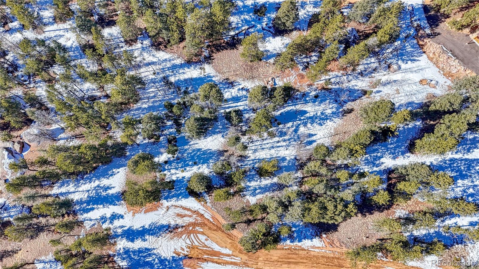 79 Huntsman Circle Florissant CO 80816