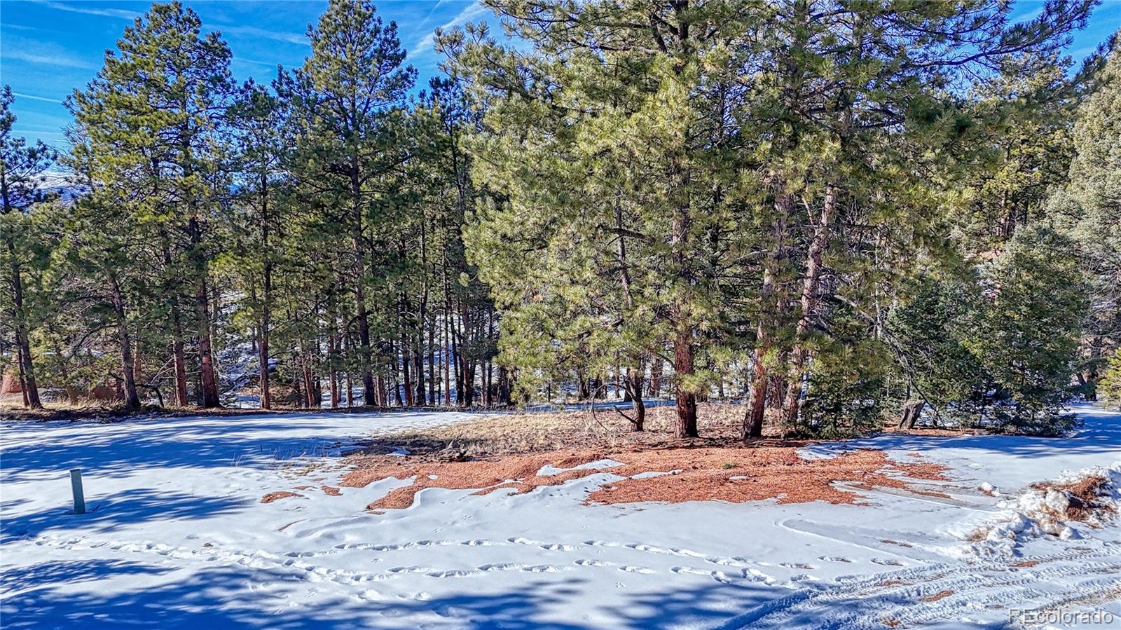 79 Huntsman Circle Florissant CO 80816