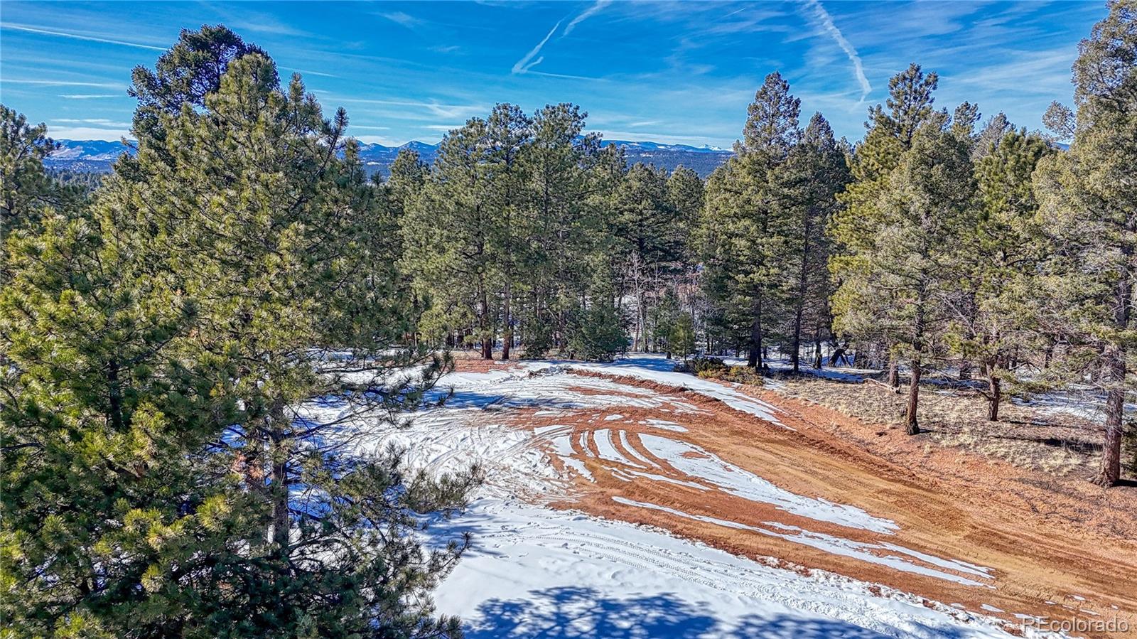 79 Huntsman Circle Florissant CO 80816