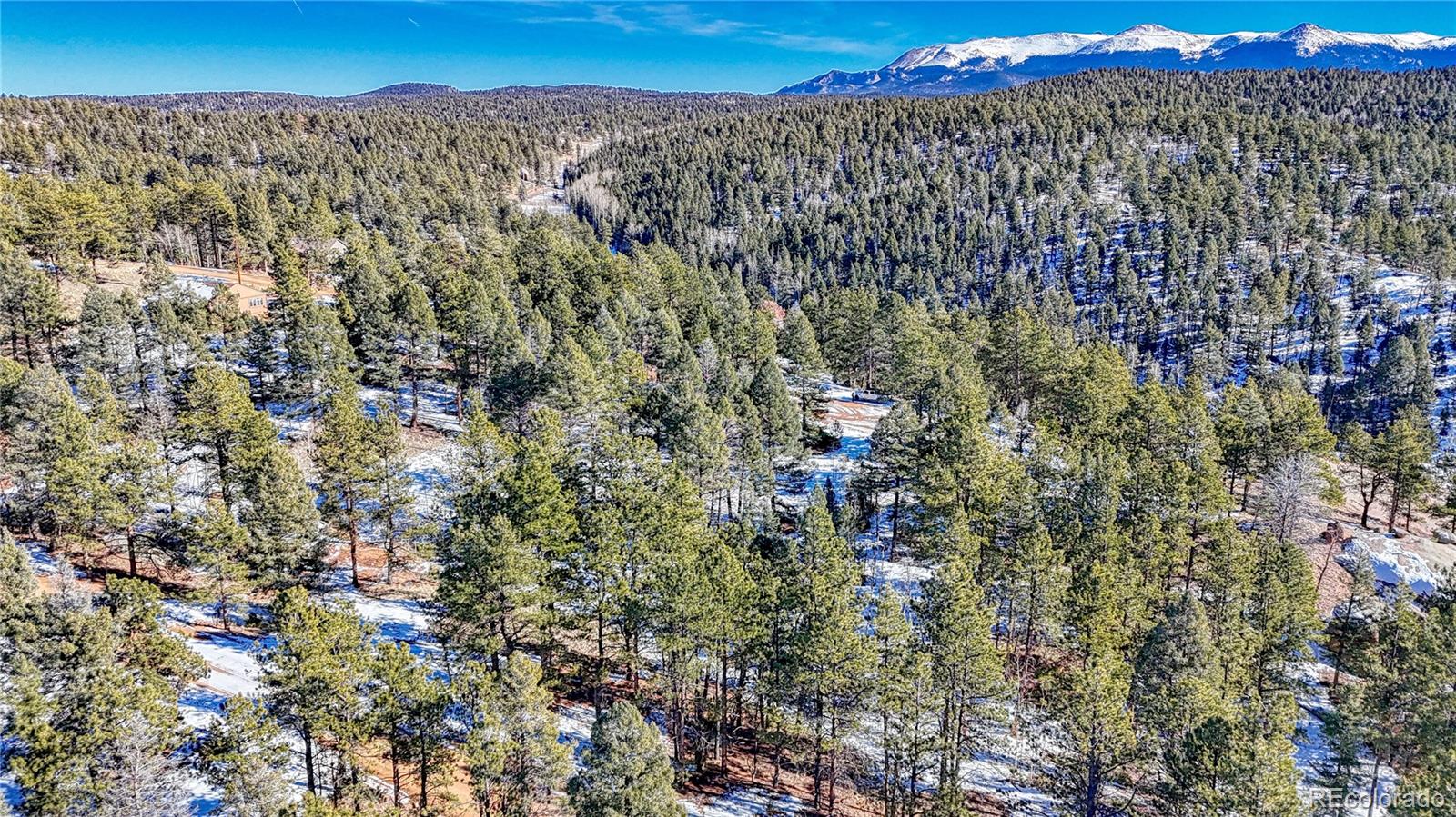 79 Huntsman Circle Florissant CO 80816