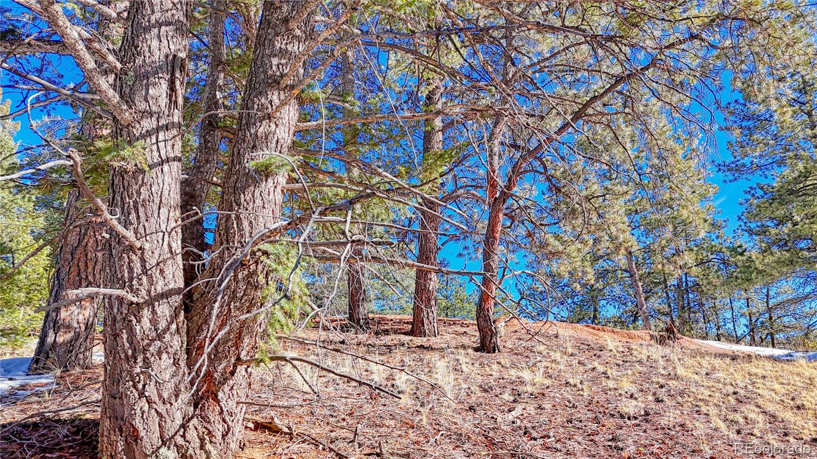 79 Huntsman Circle Florissant CO 80816