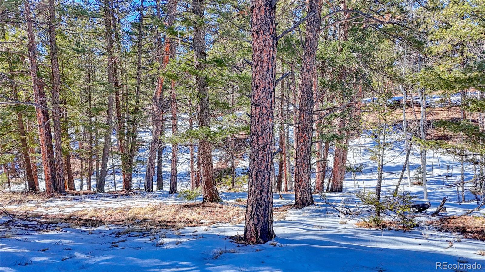 79 Huntsman Circle Florissant CO 80816