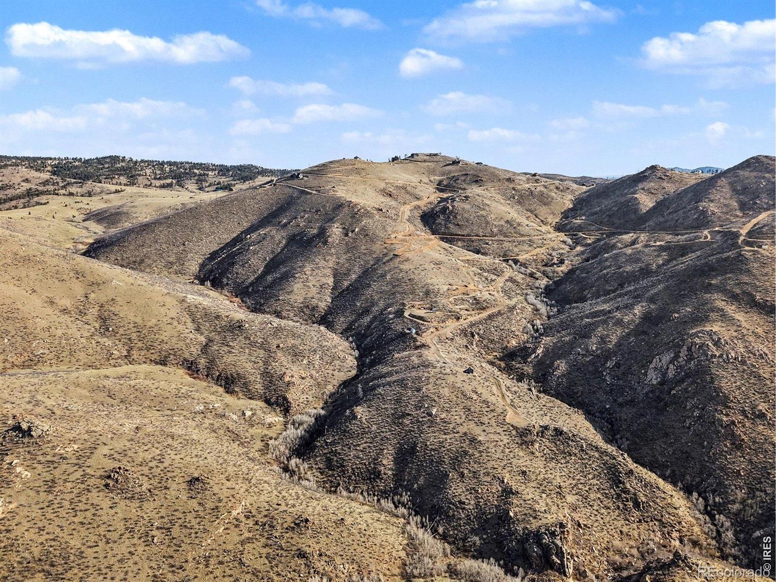 1634 Horse Mountain Drive Livermore CO 80536