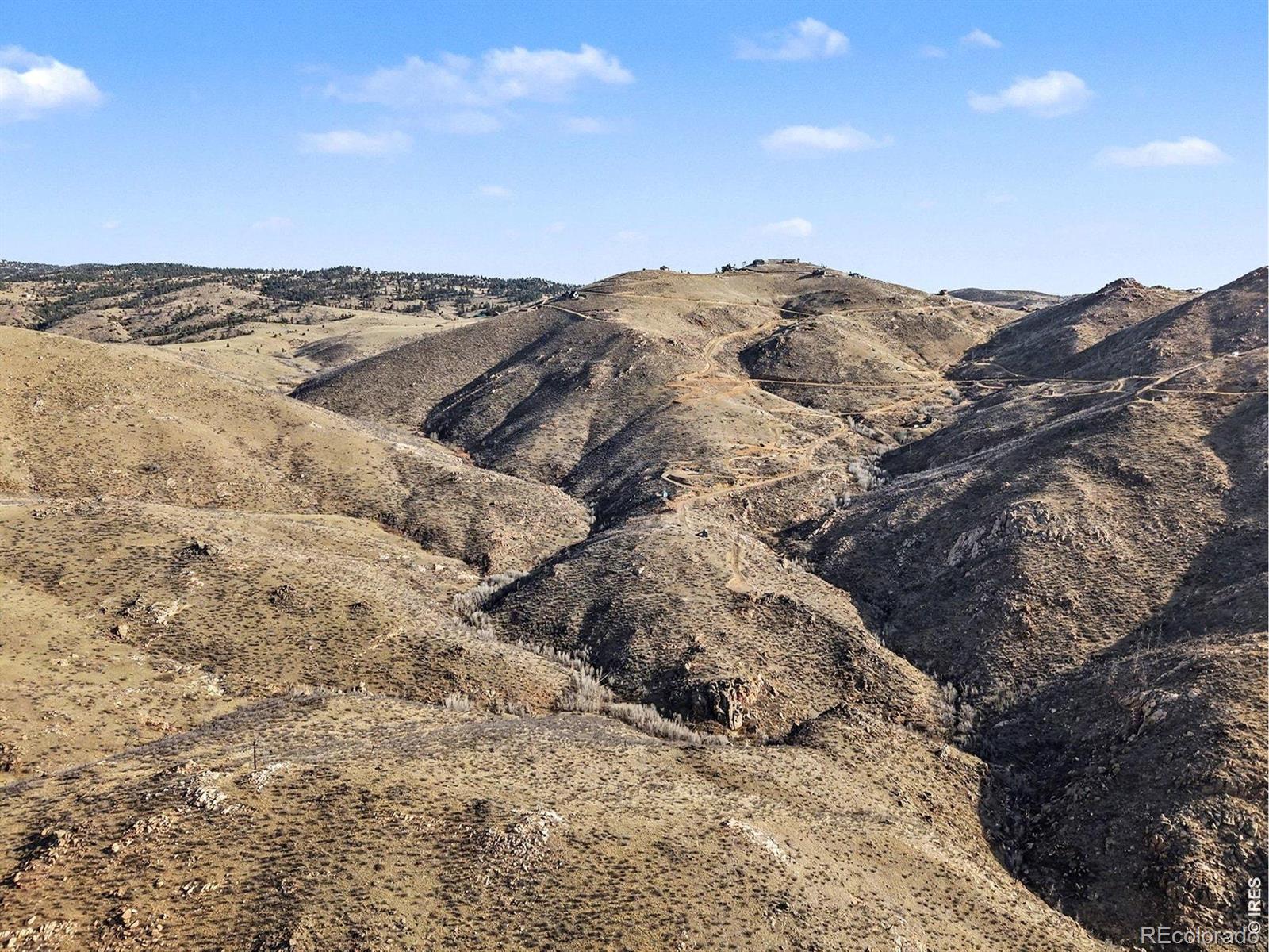 1634 Horse Mountain Drive Livermore CO 80536