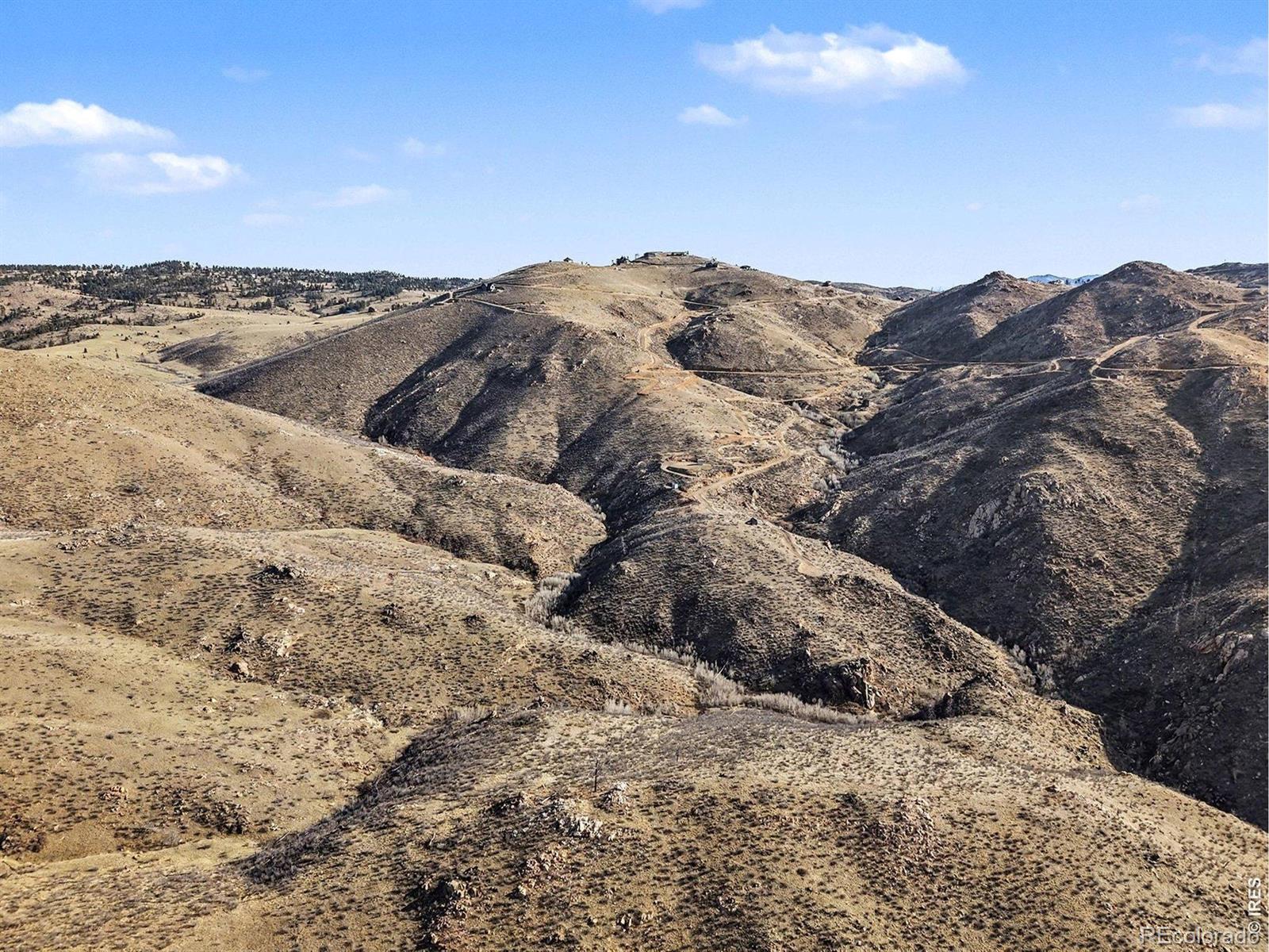 1634 Horse Mountain Drive Livermore CO 80536