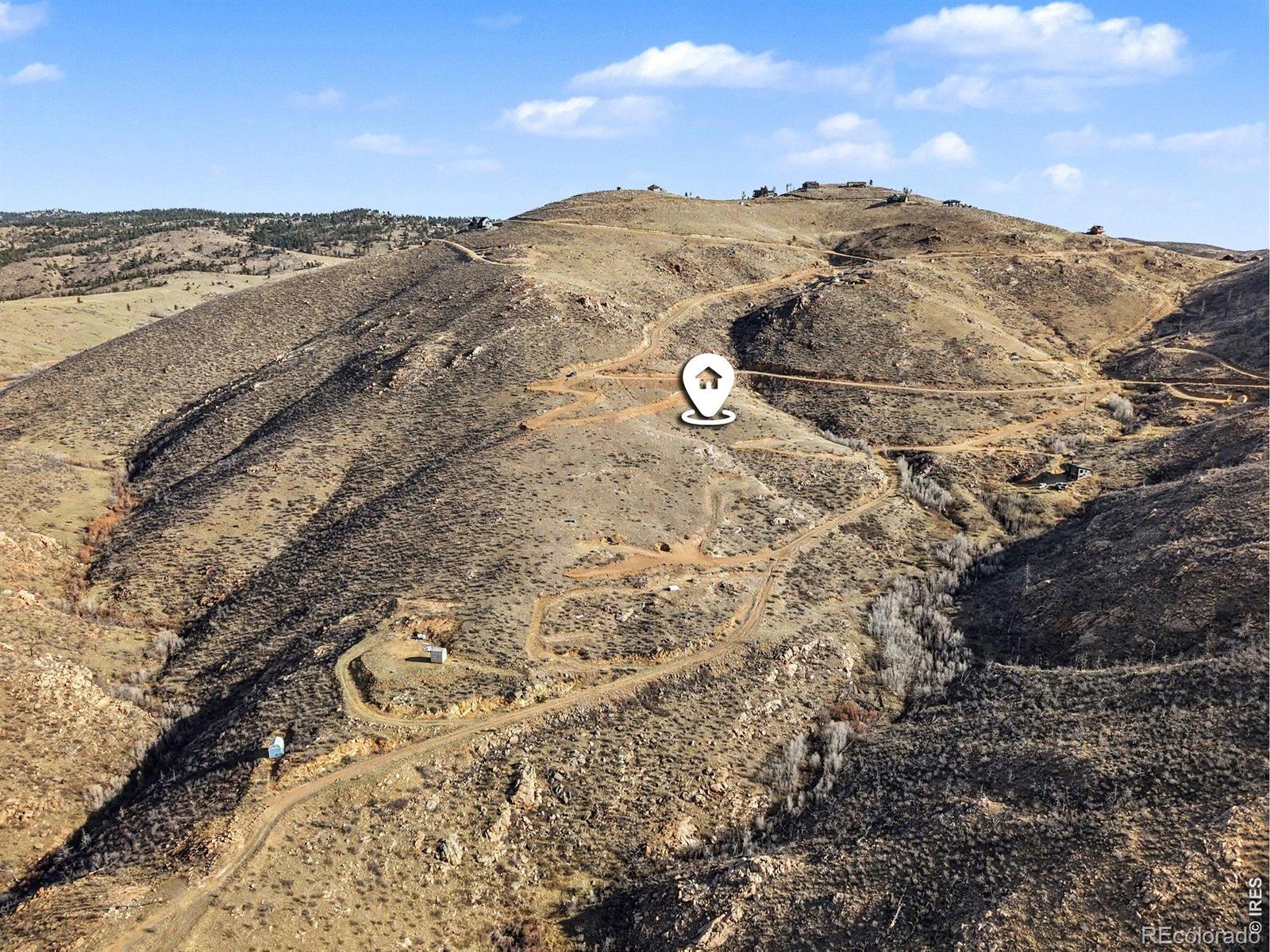 1634 Horse Mountain Drive Livermore CO 80536