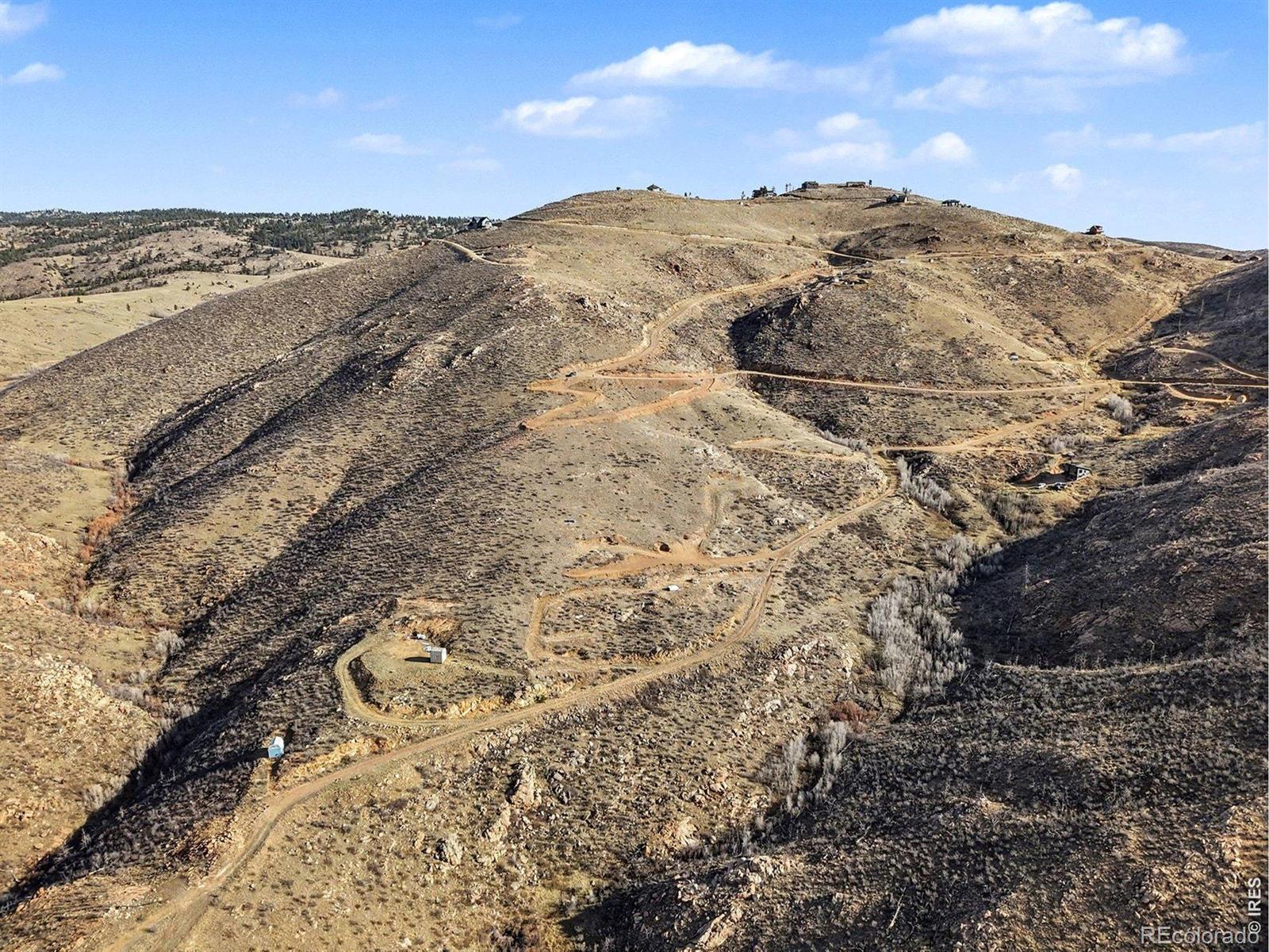 1634 Horse Mountain Drive Livermore CO 80536