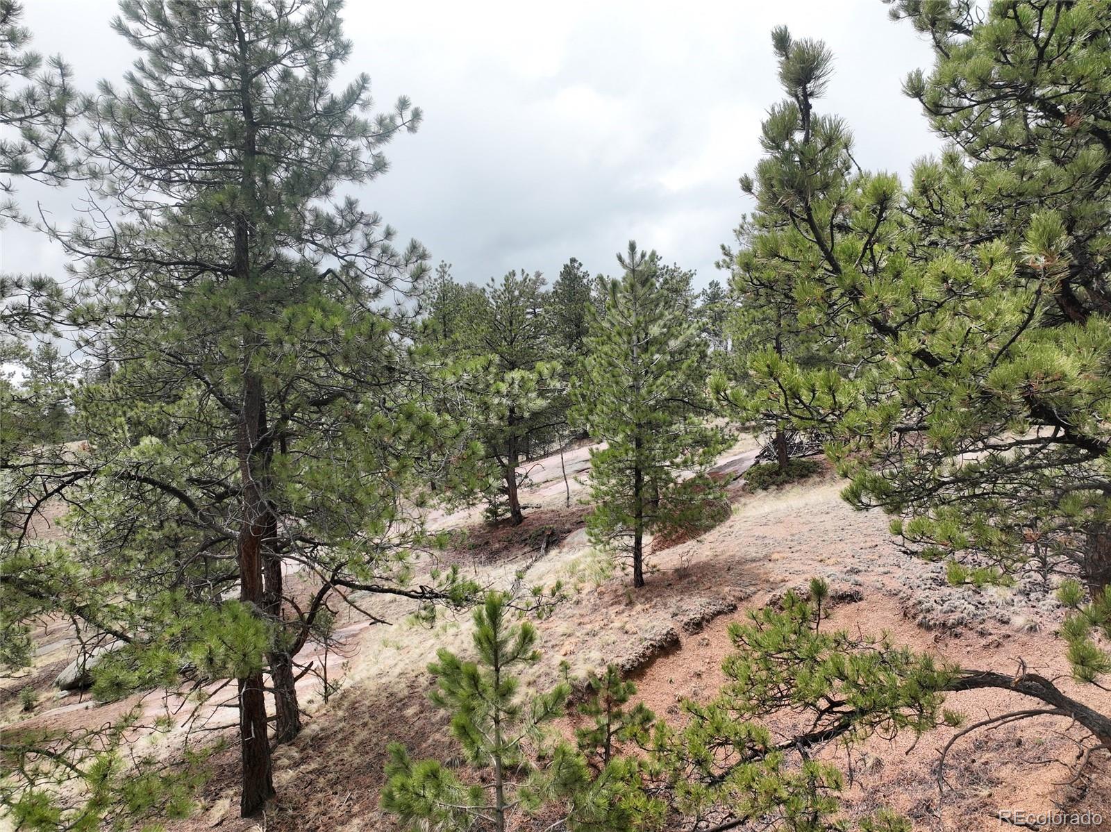 255 Pinon Lane Florissant CO 80816