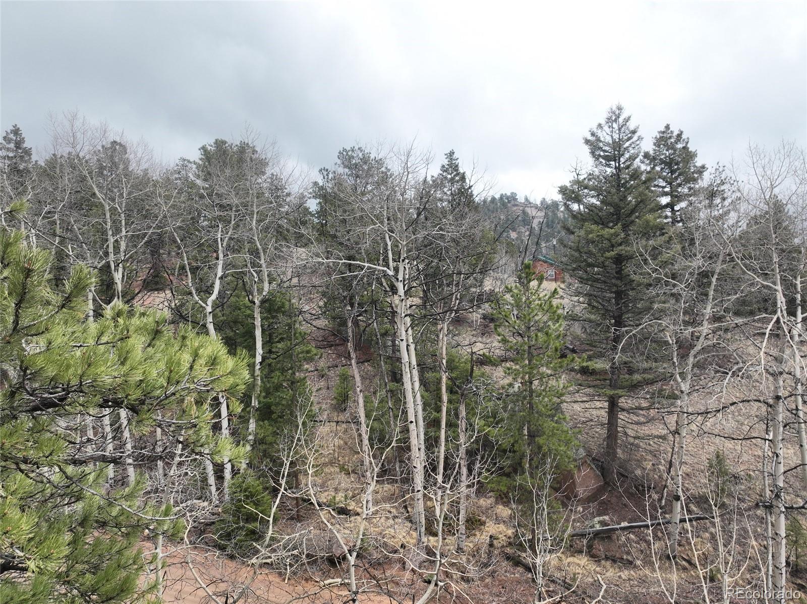 255 Pinon Lane Florissant CO 80816