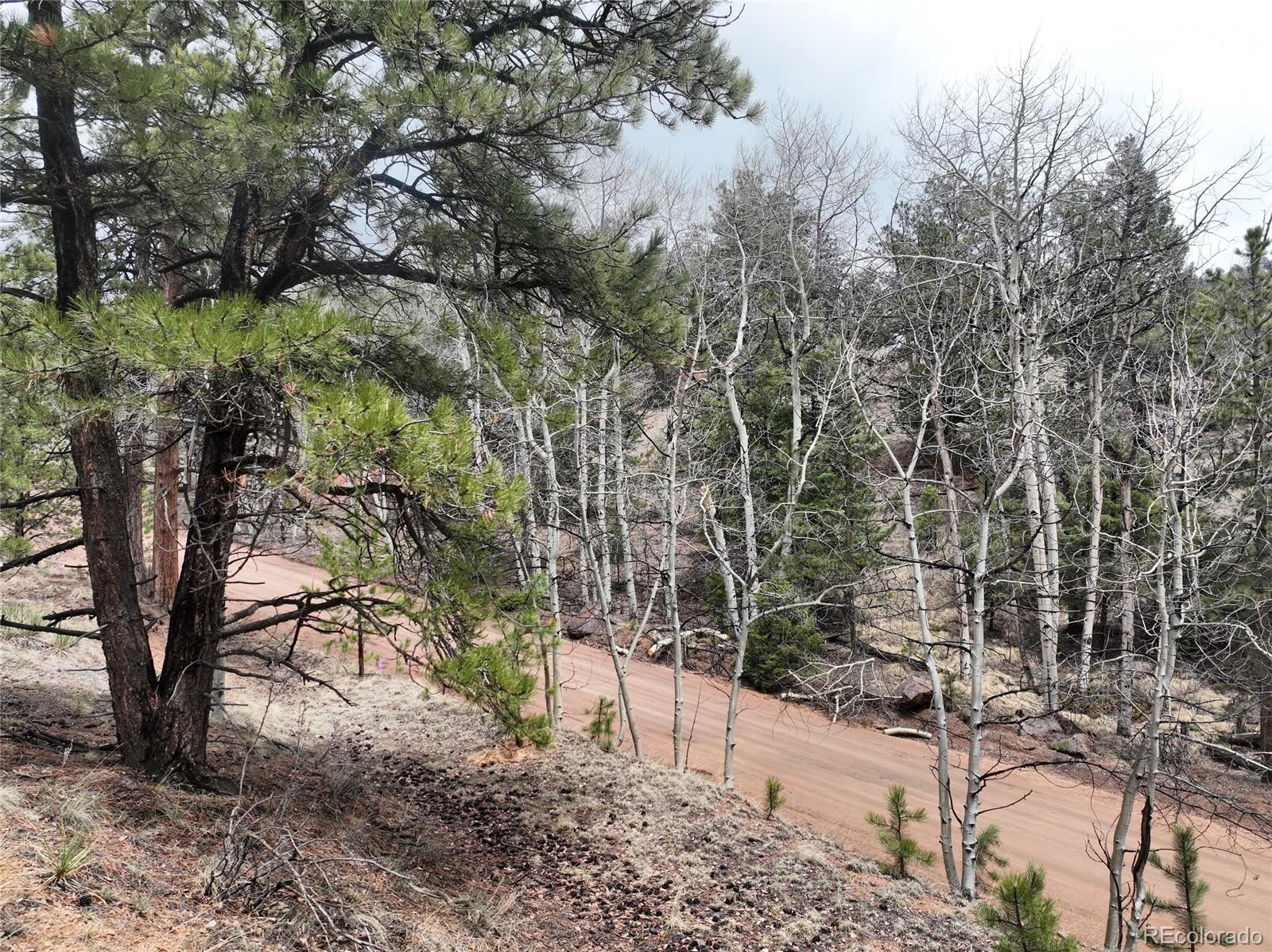 255 Pinon Lane Florissant CO 80816