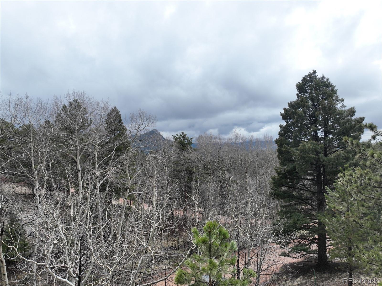 255 Pinon Lane Florissant CO 80816