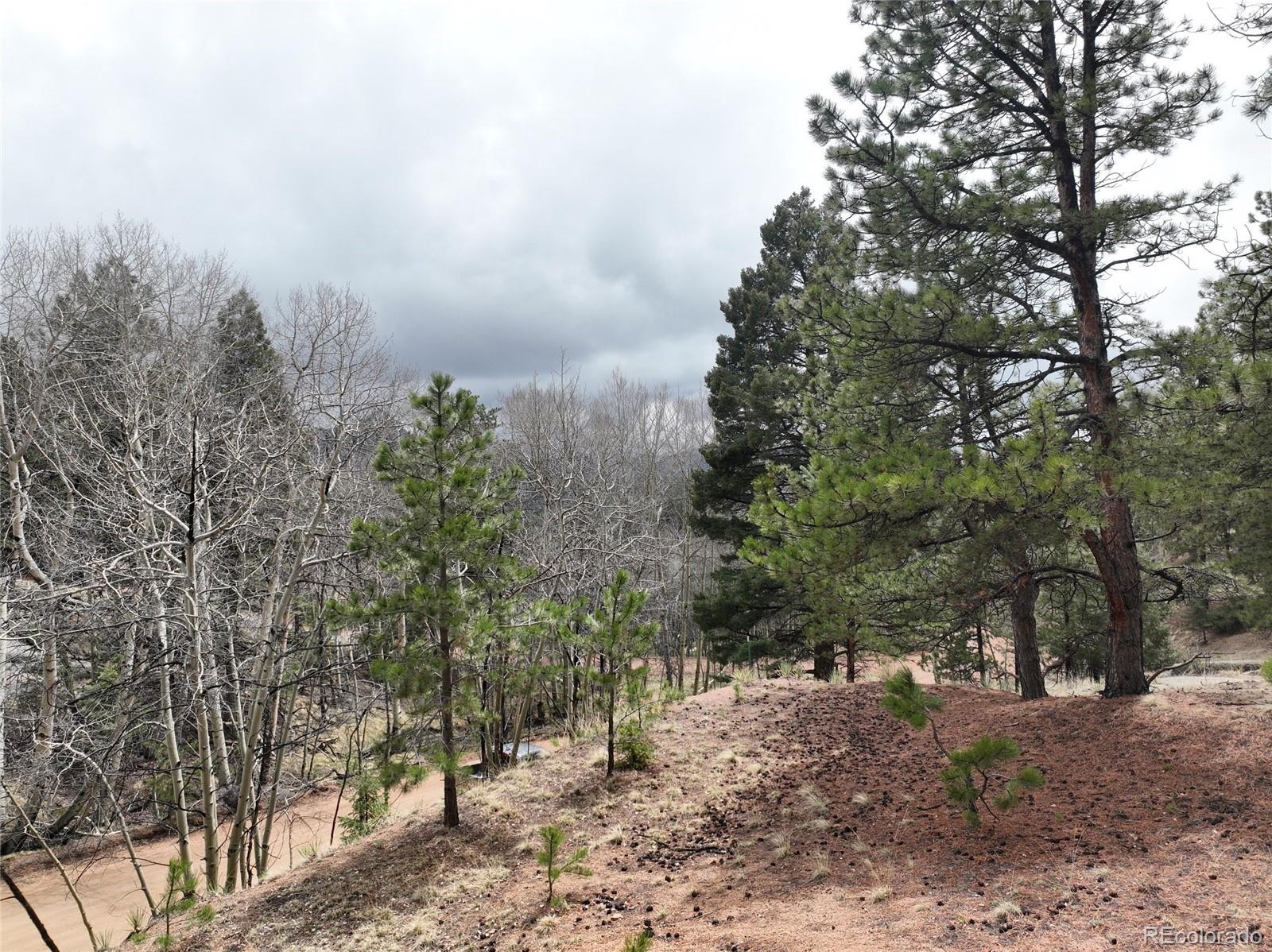 255 Pinon Lane Florissant CO 80816