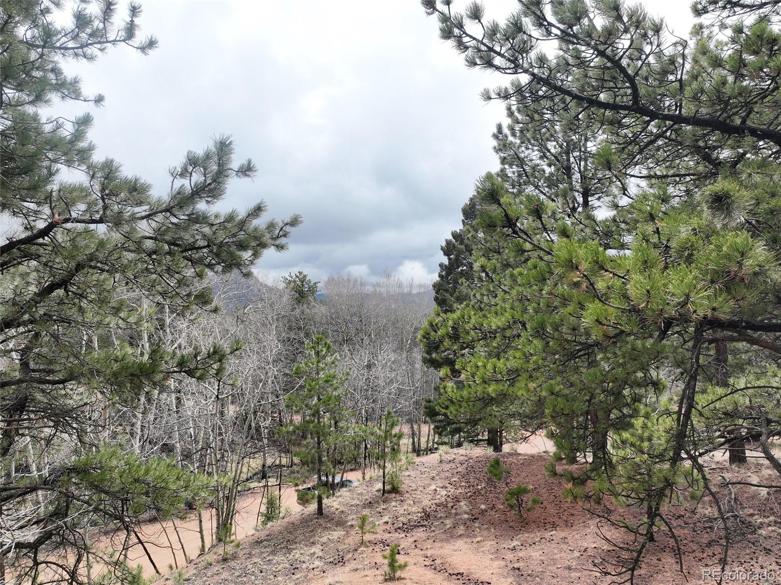 255 Pinon Lane Florissant CO 80816