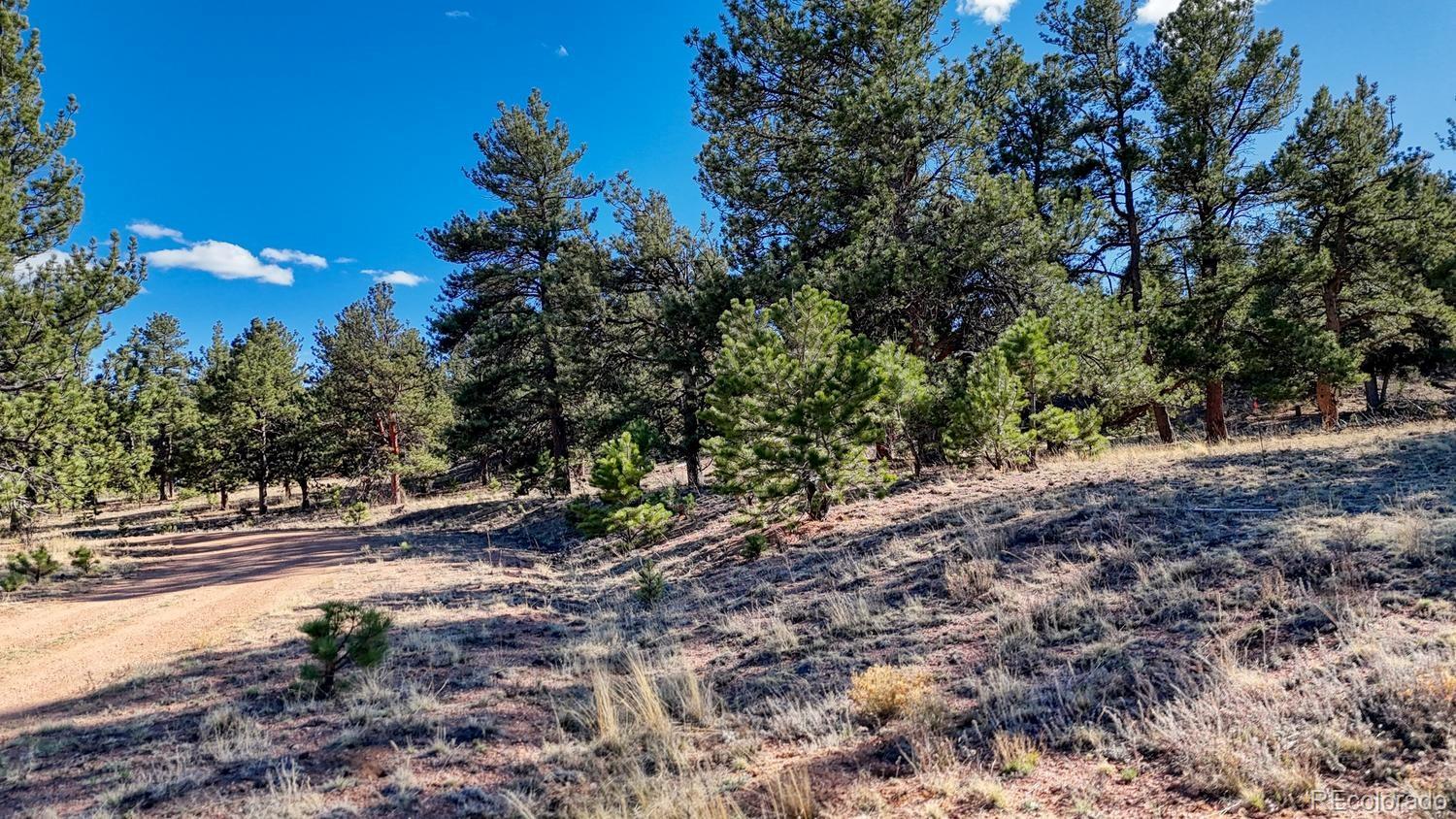 L5124 Arikara Trail Hartsel CO 80449