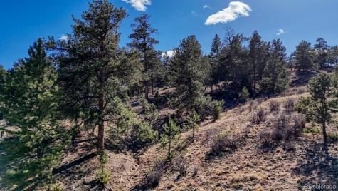 L5124 Arikara Trail Hartsel CO 80449