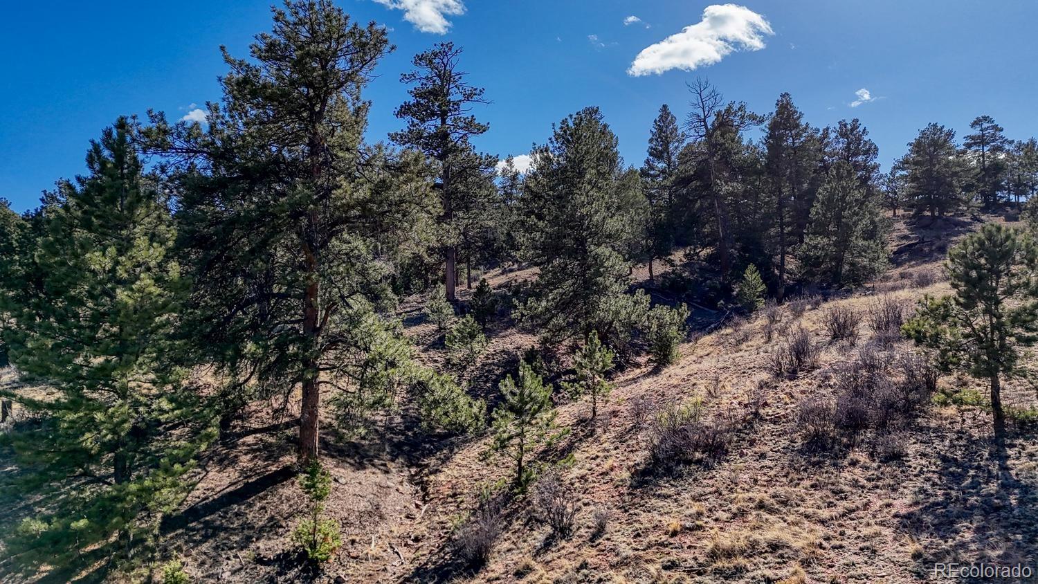L5124 Arikara Trail Hartsel CO 80449