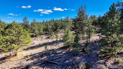 L5124 Arikara Trail Hartsel CO 80449