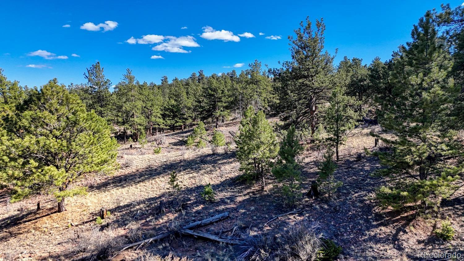 L5124 Arikara Trail Hartsel CO 80449