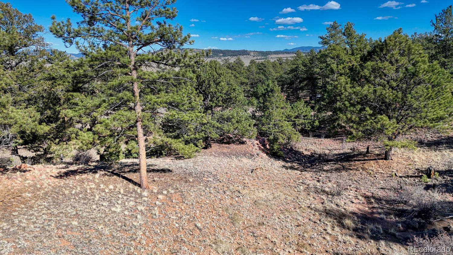 L5124 Arikara Trail Hartsel CO 80449