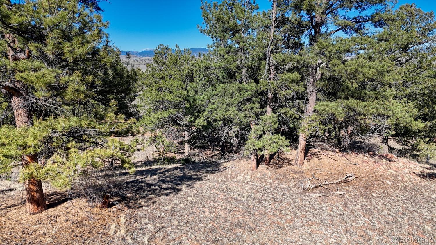 L5124 Arikara Trail Hartsel CO 80449