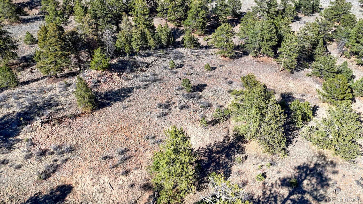 L5124 Arikara Trail Hartsel CO 80449