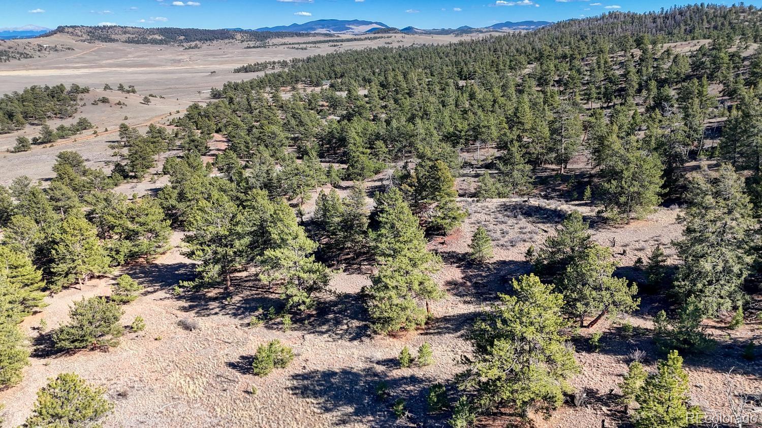 L5124 Arikara Trail Hartsel CO 80449