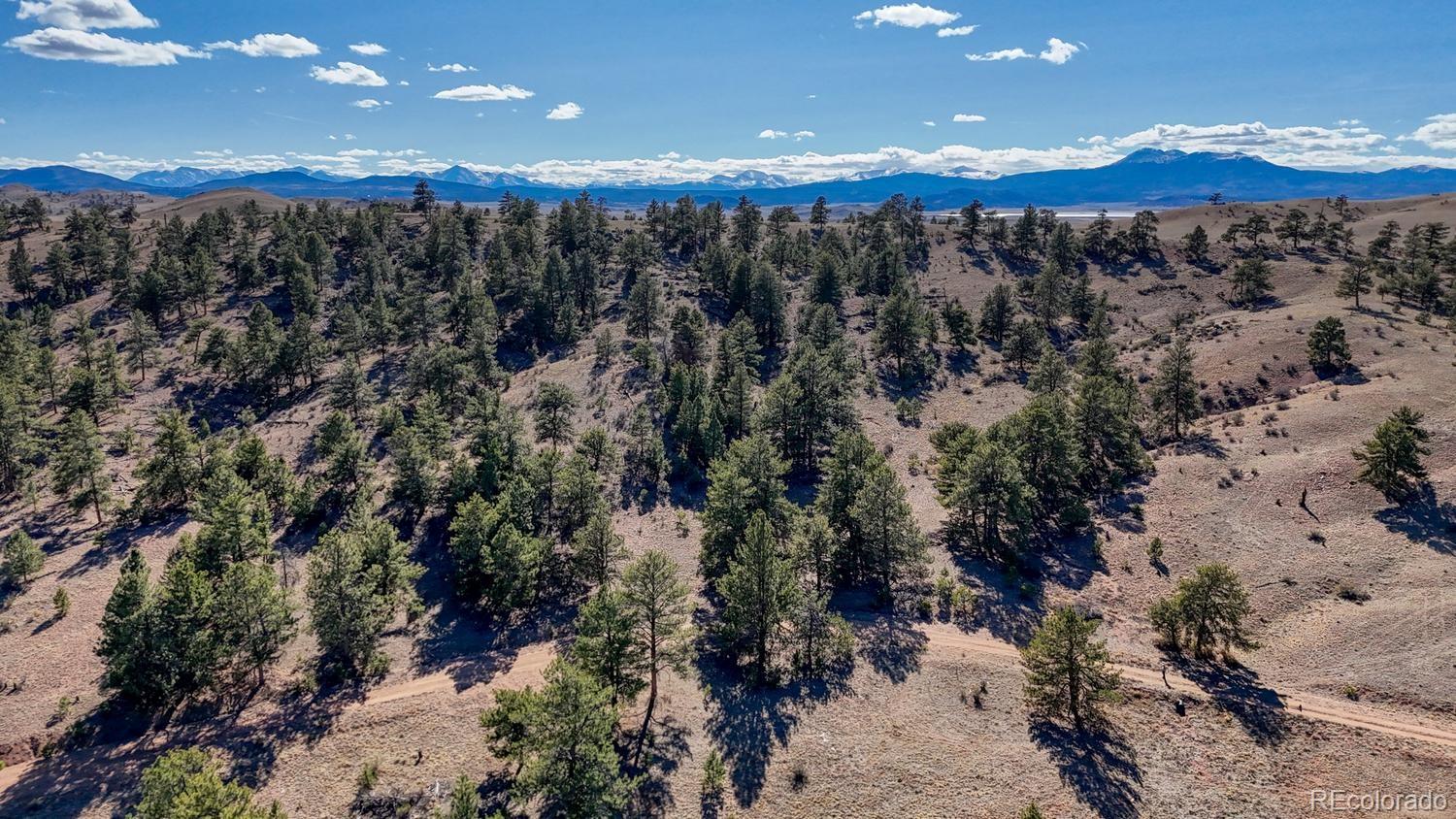L5124 Arikara Trail Hartsel CO 80449