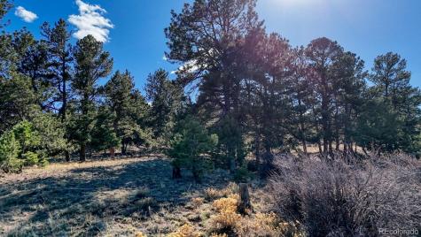 L5124 Arikara Trail Hartsel CO 80449