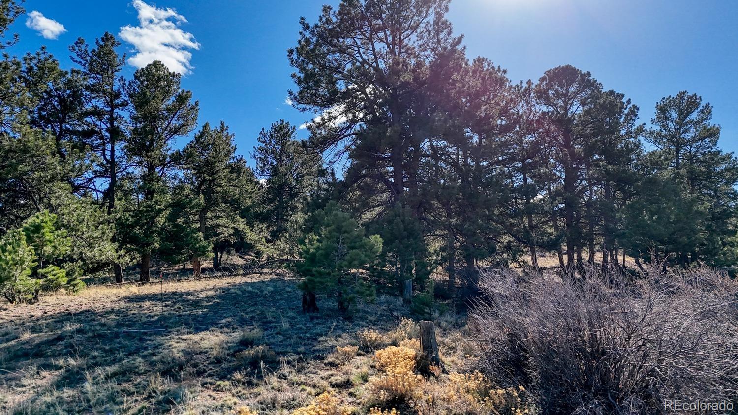 L5124 Arikara Trail Hartsel CO 80449