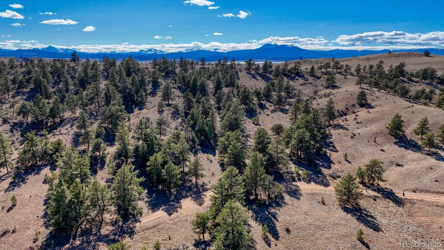L5124 Arikara Trail Hartsel CO 80449