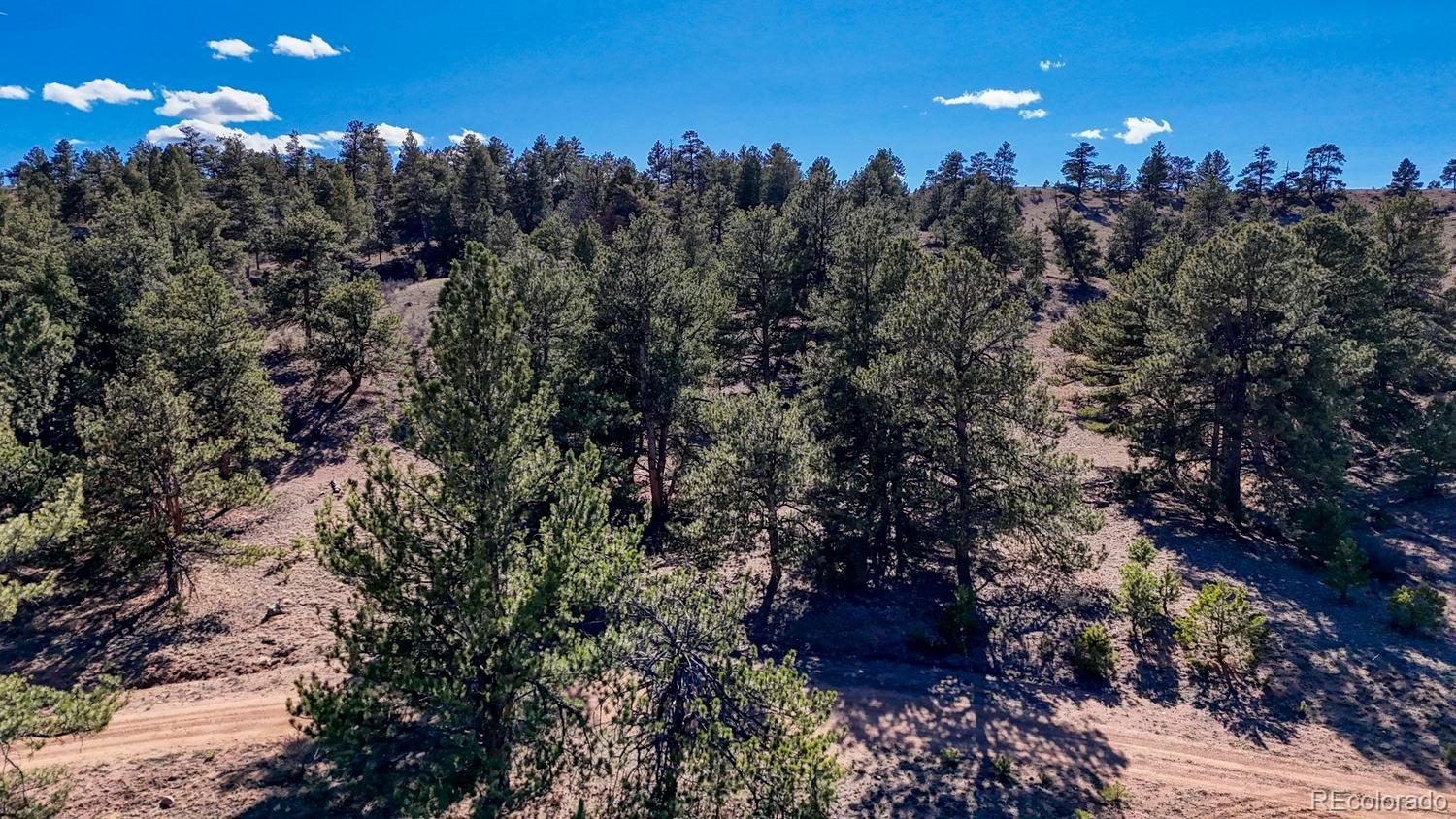 L5124 Arikara Trail Hartsel CO 80449