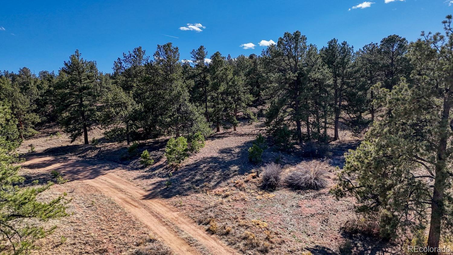 L5124 Arikara Trail Hartsel CO 80449