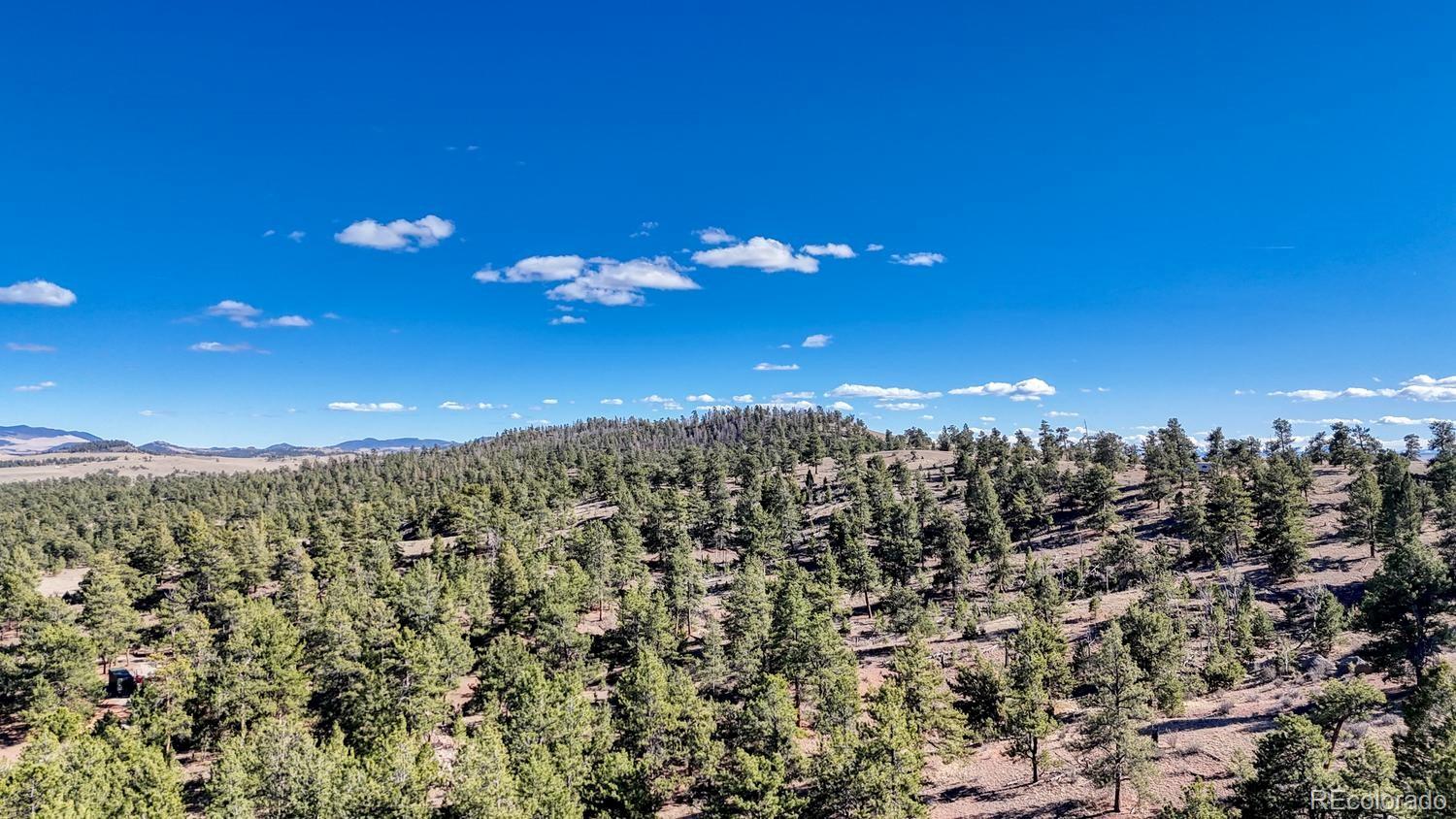 L5124 Arikara Trail Hartsel CO 80449