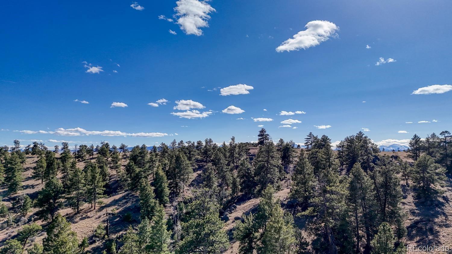 L5124 Arikara Trail Hartsel CO 80449