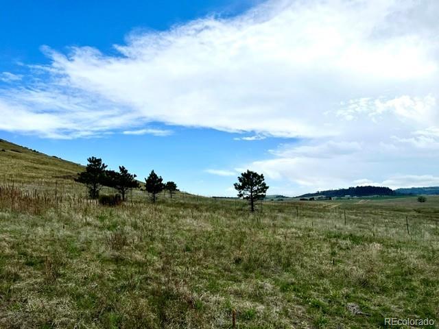 11977 Haskell Creek Road Larkspur CO 80118