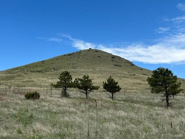 11977 Haskell Creek Road Larkspur CO 80118