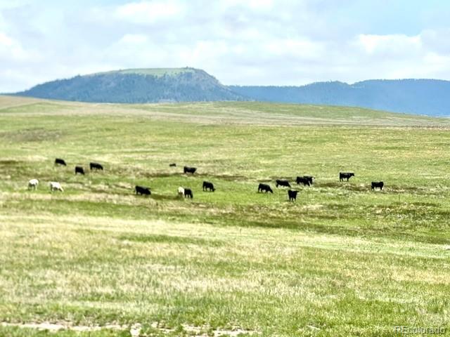 11977 Haskell Creek Road Larkspur CO 80118