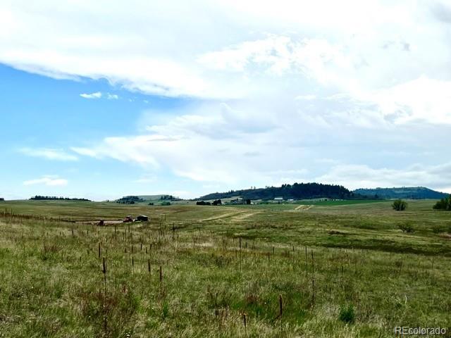 11977 Haskell Creek Road Larkspur CO 80118