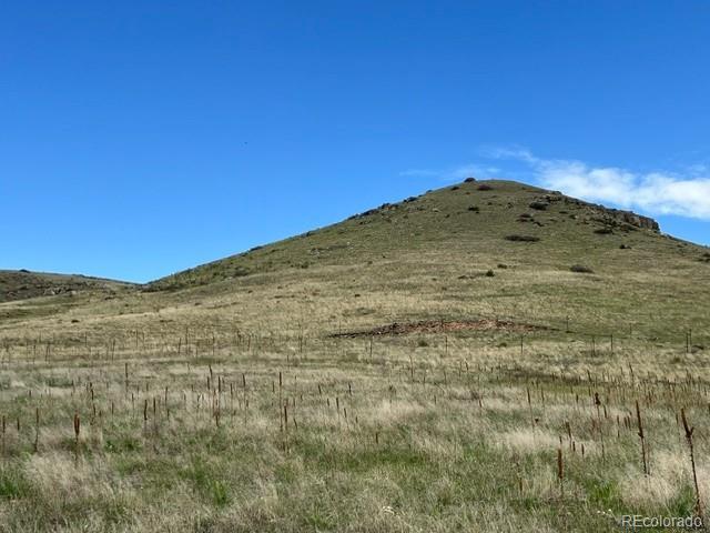 11977 Haskell Creek Road Larkspur CO 80118