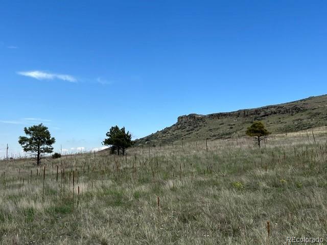 11977 Haskell Creek Road Larkspur CO 80118