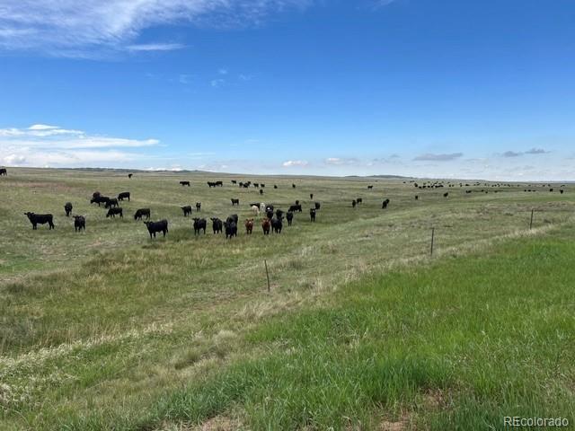 11977 Haskell Creek Road Larkspur CO 80118