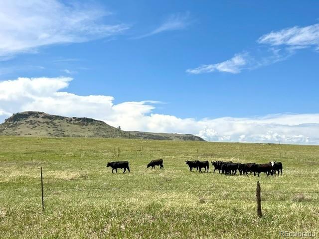 11977 Haskell Creek Road Larkspur CO 80118