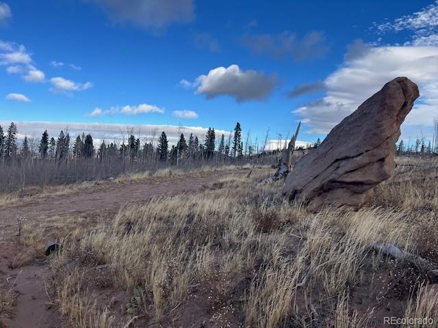 Lot 2544 Petito Drive Fort Garland CO 81133