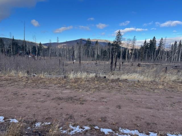 Lot 2544 Petito Drive Fort Garland CO 81133