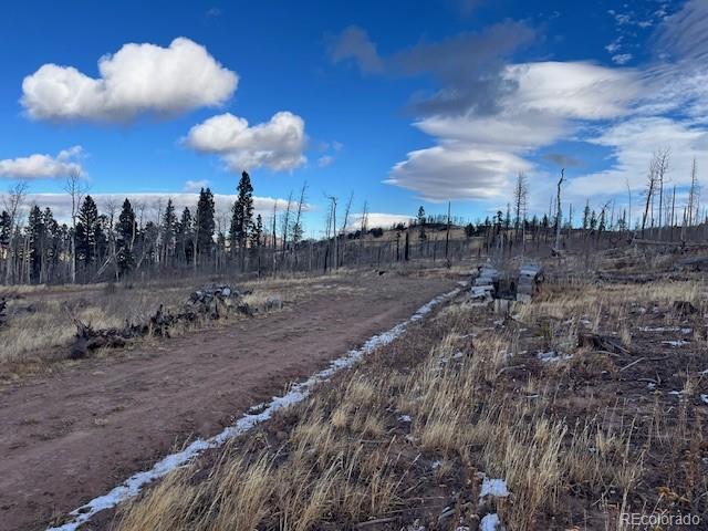 Lot 2544 Petito Drive Fort Garland CO 81133