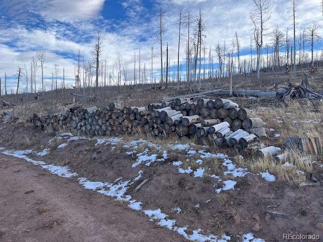 Lot 2544 Petito Drive Fort Garland CO 81133
