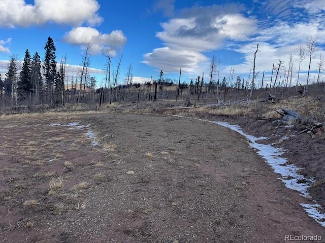 Lot 2544 Petito Drive Fort Garland CO 81133