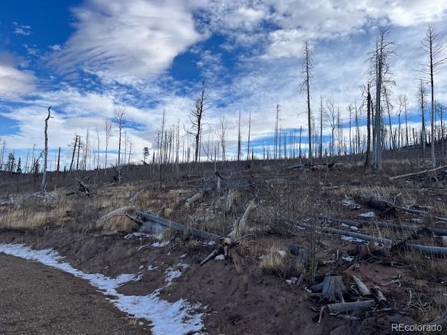 Lot 2544 Petito Drive Fort Garland CO 81133