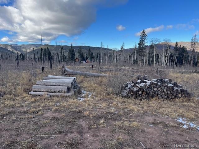 Lot 2544 Petito Drive Fort Garland CO 81133