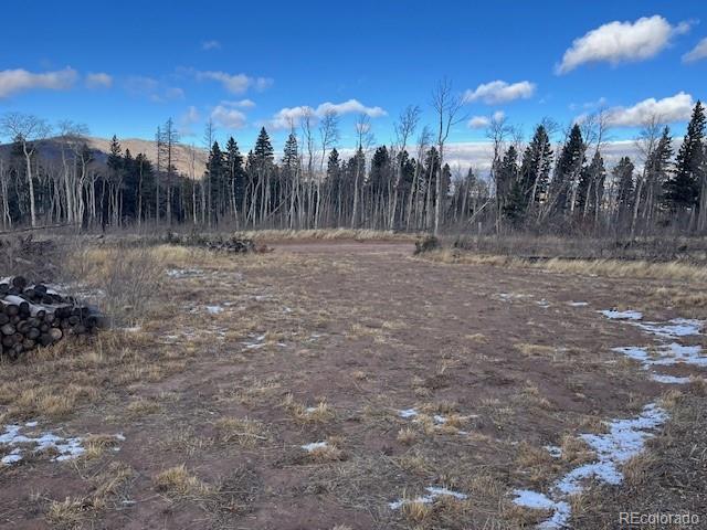 Lot 2544 Petito Drive Fort Garland CO 81133